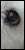 030906bismark.gif