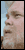 030906gregharley.gif