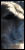 030906harleylake.gif