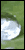 030906plant.gif